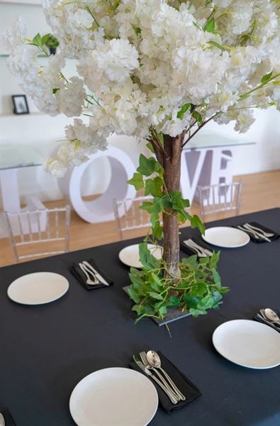 Maxximo Banquet Hall & Entertainment