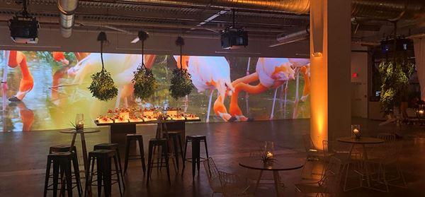 Rubell Family Collection Contemporary Arts Foundation