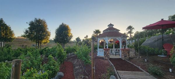 Gavilan Hills Vineyard & Wedding Venue