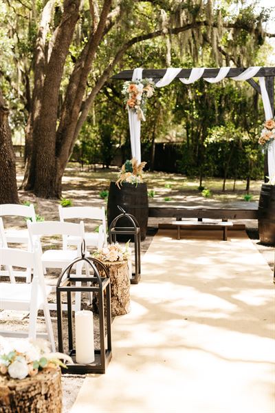 Christmas at Stanley Park