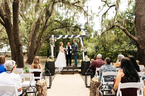 Christmas at Stanley Park