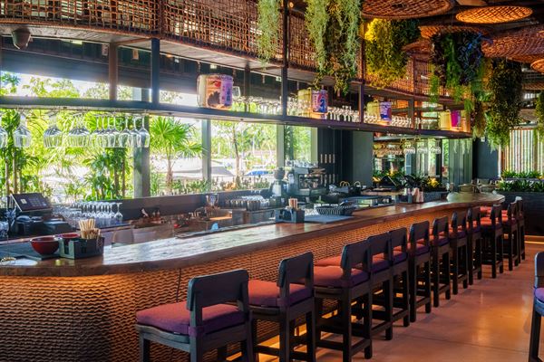 Tanuki River Landing