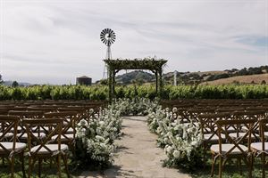 Vineyard Lawn
