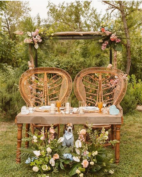 Hilltop Guest Ranch & Vineyards