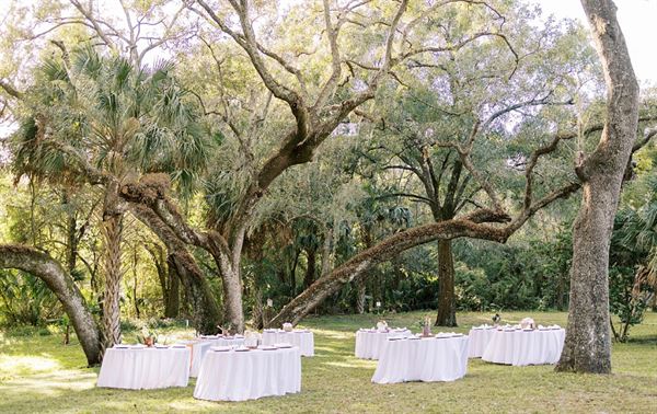 Under the Oaks Wellness & Events