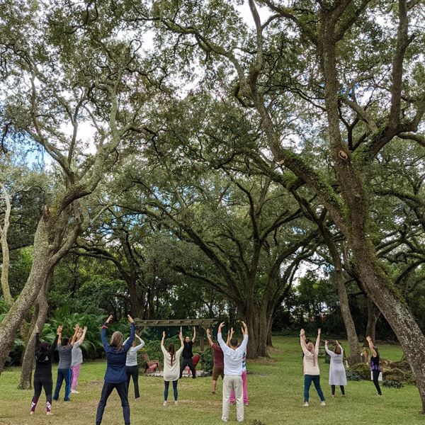 Under the Oaks Wellness & Events