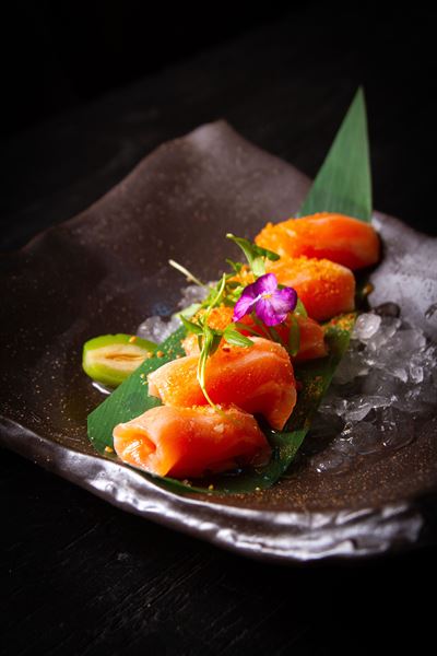 Tanuki River Landing