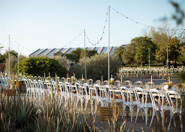 The Frank Lloyd Wright Foundation at Taliesin West