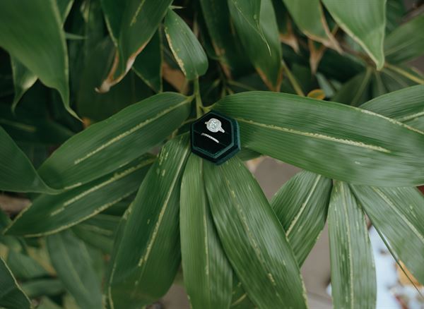 Gulnaz Graves Photography