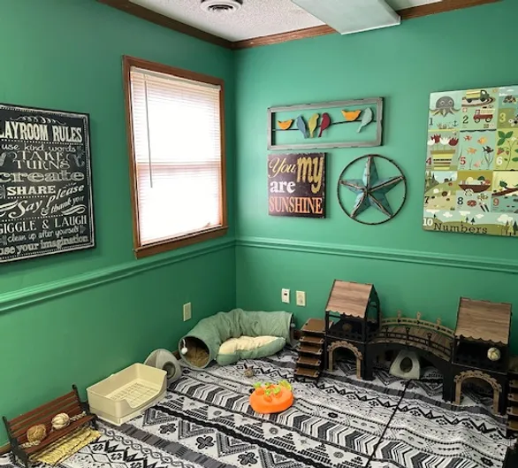 Fairytale Farm Adoption Shop