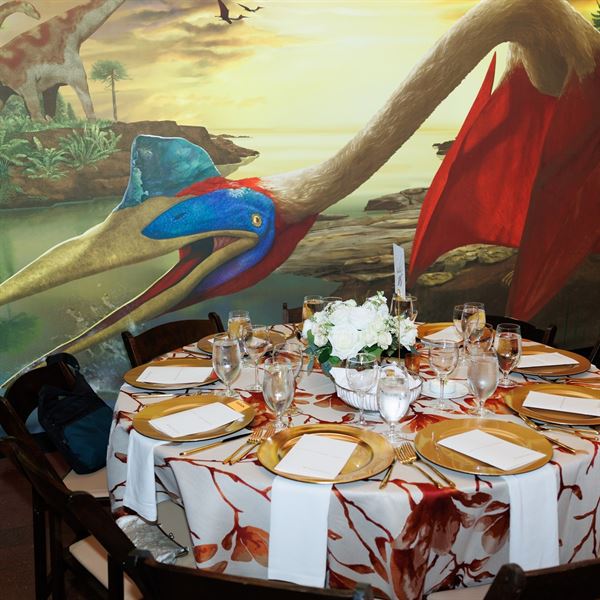 Texas Science & Natural History Museum