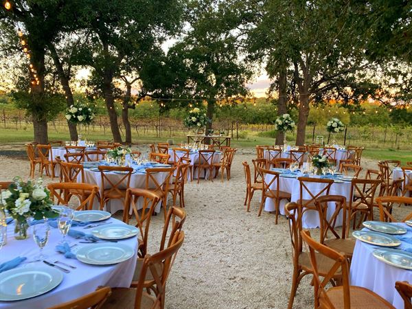 Hamilton Pool Vineyards and Farms