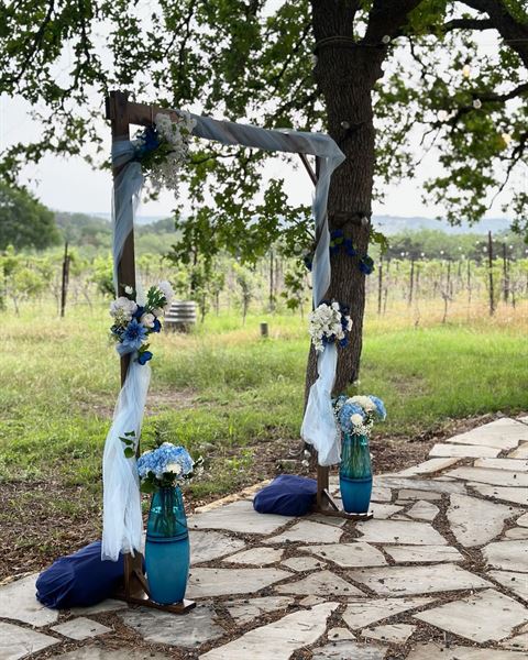Hamilton Pool Vineyards and Farms