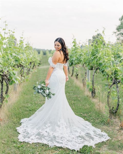 Virginia Mountain Vineyards