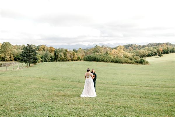 Virginia Mountain Vineyards