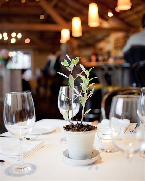 Angele Restaurant & Bar