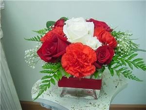 Flamingo Dreams Florist- Tampa