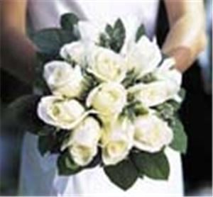 Flamingo Dreams Florist- Tampa