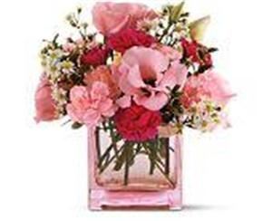 Flamingo Dreams Florist- Tampa