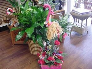 Flamingo Dreams Florist- Tampa