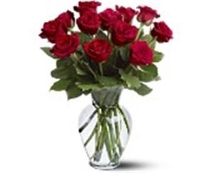 Flamingo Dreams Florist- Tampa