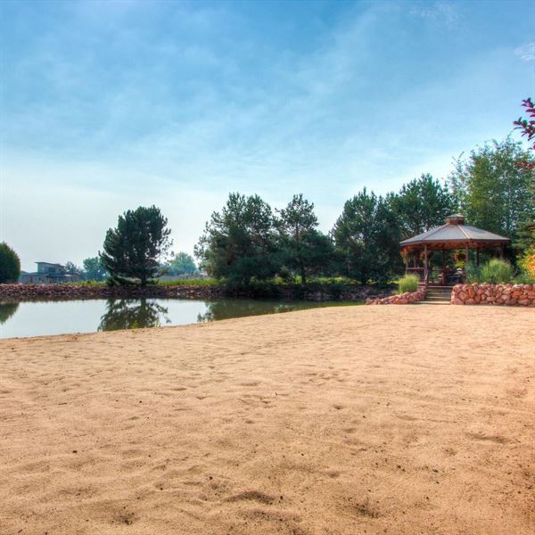 The Hillside Vineyard