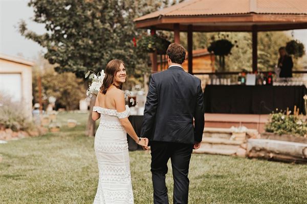 The Hillside Vineyard