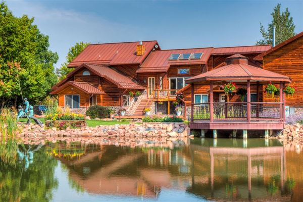 The Hillside Vineyard