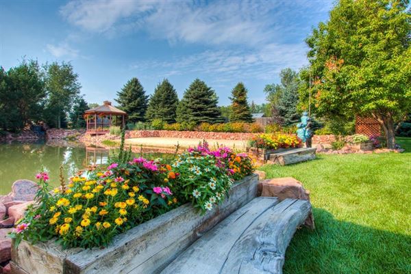 The Hillside Vineyard