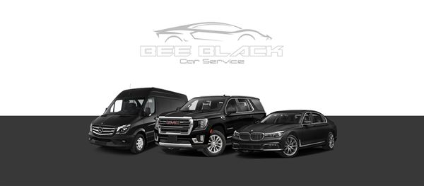 Bee Black Car