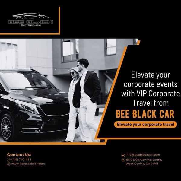 Bee Black Car