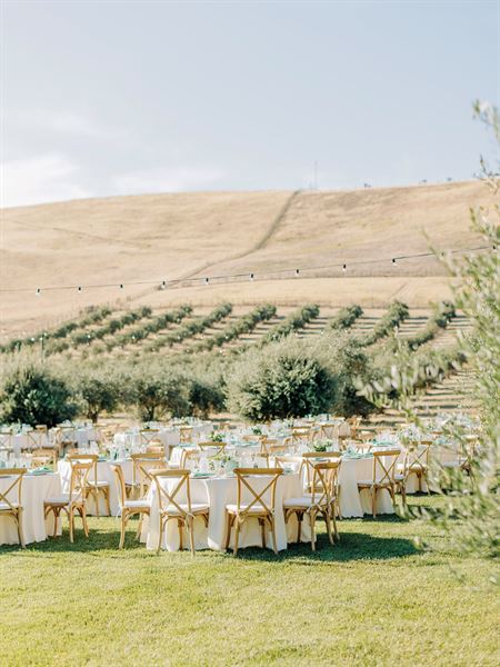 The Purple Orchid - Wine Country Resort & Spa