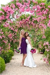 Mollan Photography Lansing