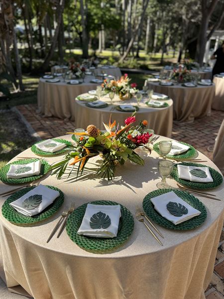 Hydrangea Flowers and Events