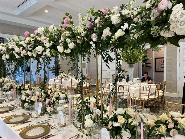 Hydrangea Flowers and Events