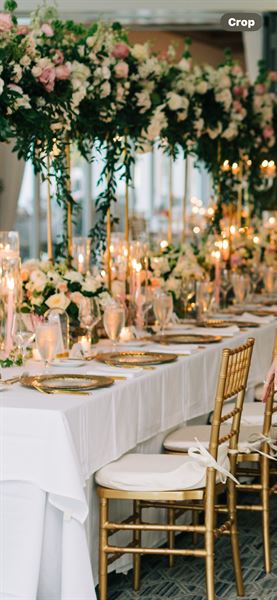 Hydrangea Flowers and Events