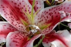 Aloha Bridal Gallery Weddings & Events