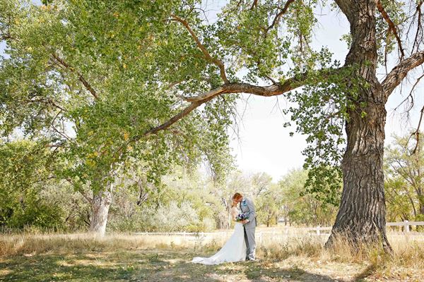 Camelot Ranch Events