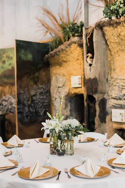 River Legacy Living Science Center