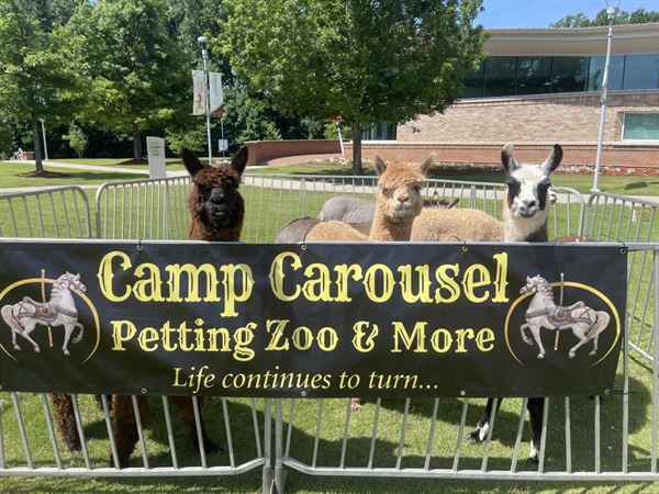 Camp Carousel