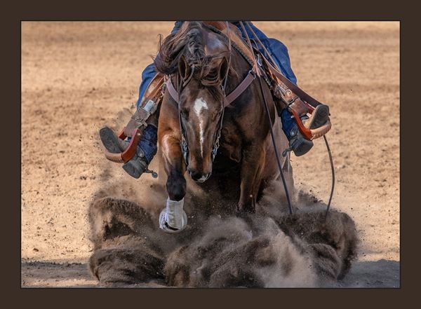 Justus Photography LLC