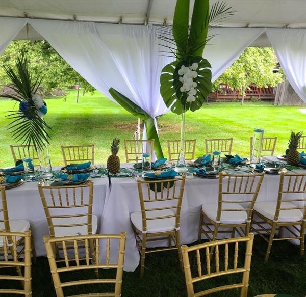 Exquisite Designs by Tai