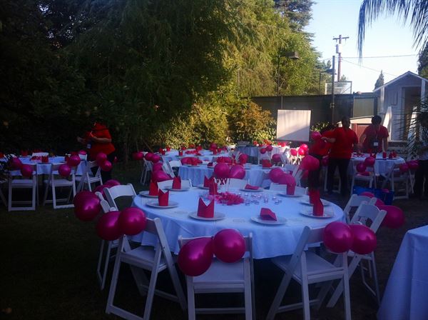 Tropical Tiki Bar & Swirly Pool Slide