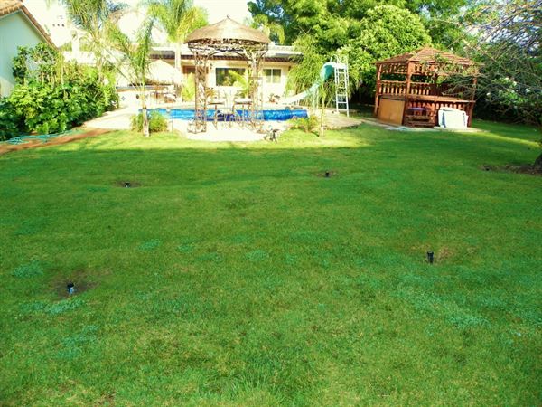 Tropical Tiki Bar & Swirly Pool Slide