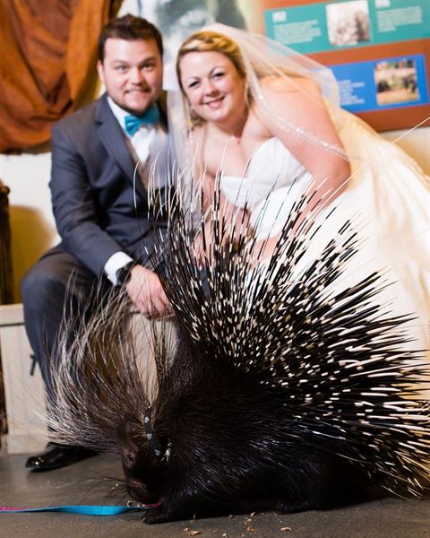 Chattanooga Zoo At Warner Park