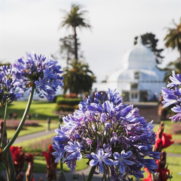 Conservatory of Flowers