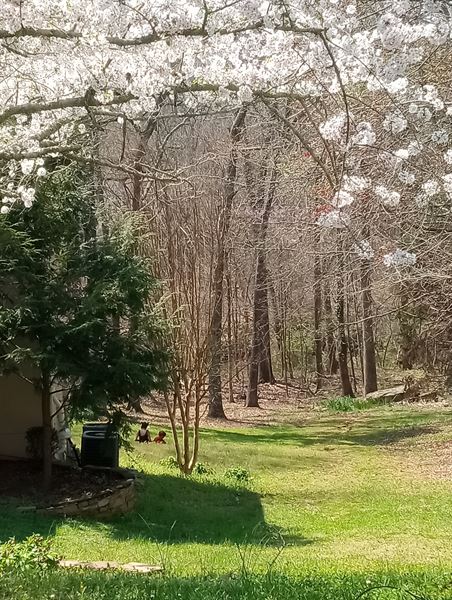 Friendly Solutions LLC