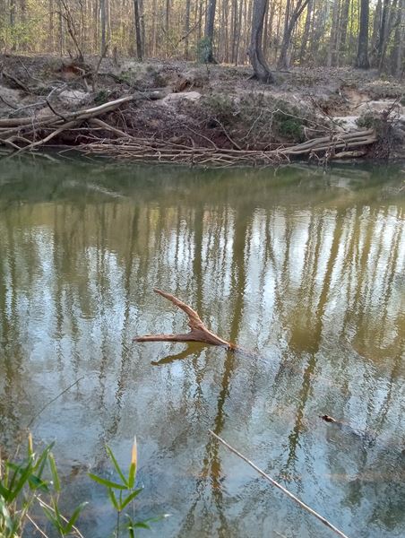 Friendly Solutions LLC