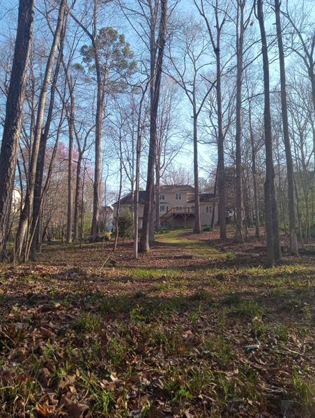 Friendly Solutions LLC