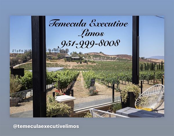 Temecula executive limos